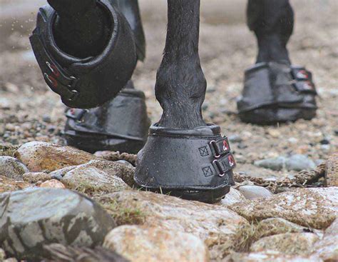 Beyond the Ordinary: Enhancing Your Horse's Comfort with Hoof Boots